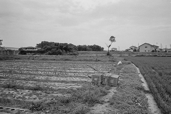 f:id:aremo-koremo:20180721184617j:plain f:id:aremo-koremo:20180721184617j:plain