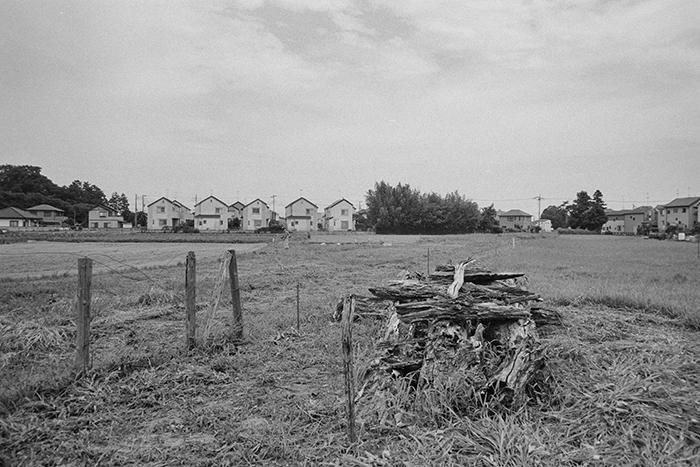 f:id:aremo-koremo:20180723155607j:plain f:id:aremo-koremo:20180723155607j:plain