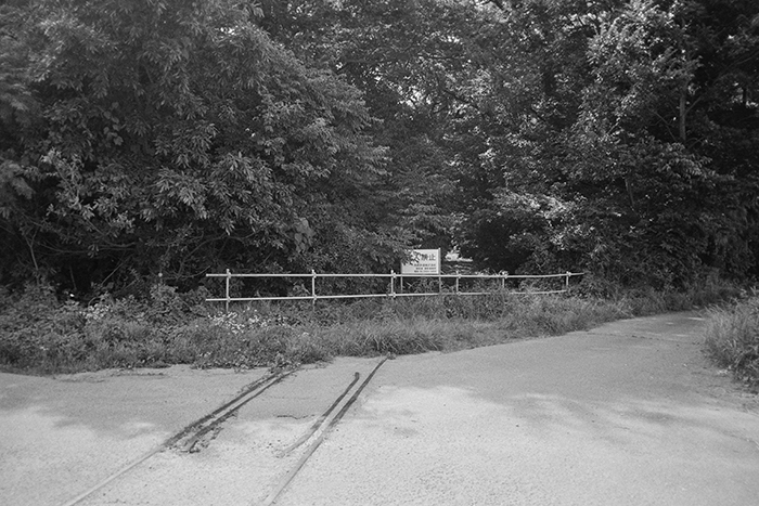 f:id:aremo-koremo:20180723155804j:plain f:id:aremo-koremo:20180723155804j:plain