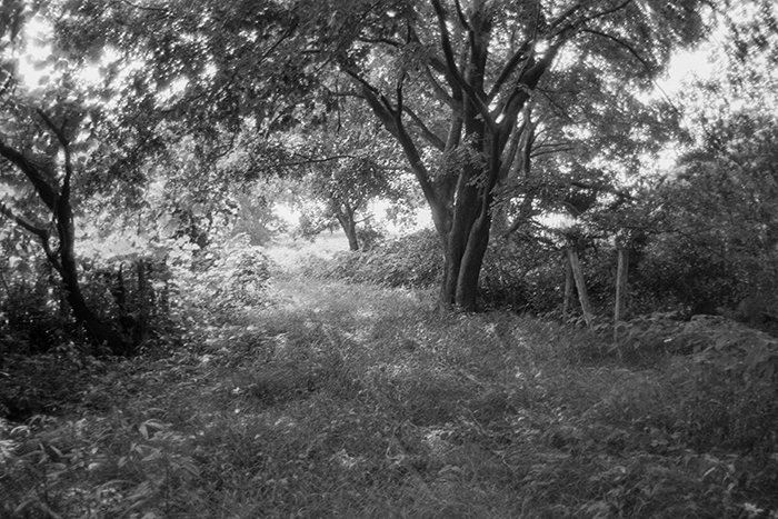 f:id:aremo-koremo:20180723161817j:plain f:id:aremo-koremo:20180723161817j:plain