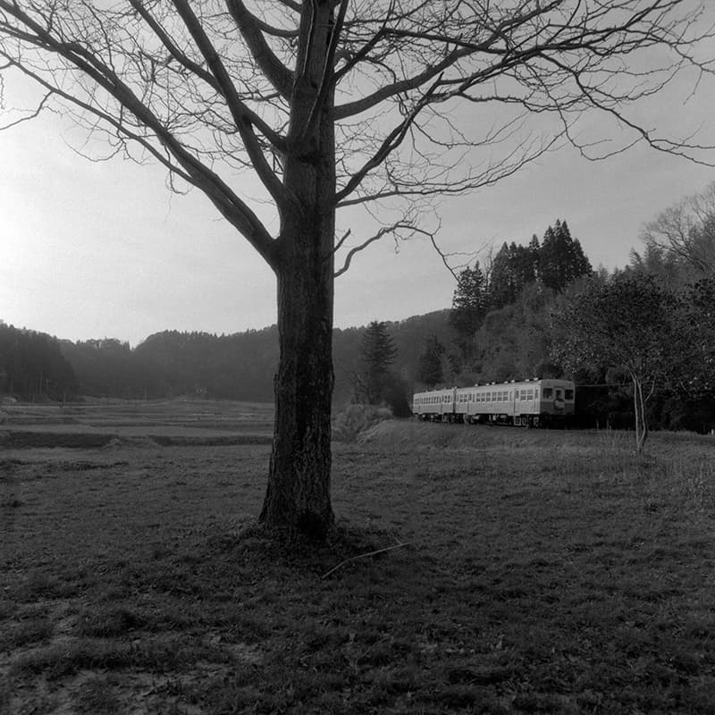 f:id:aremo-koremo:20190219162559j:plain f:id:aremo-koremo:20190219162559j:plain