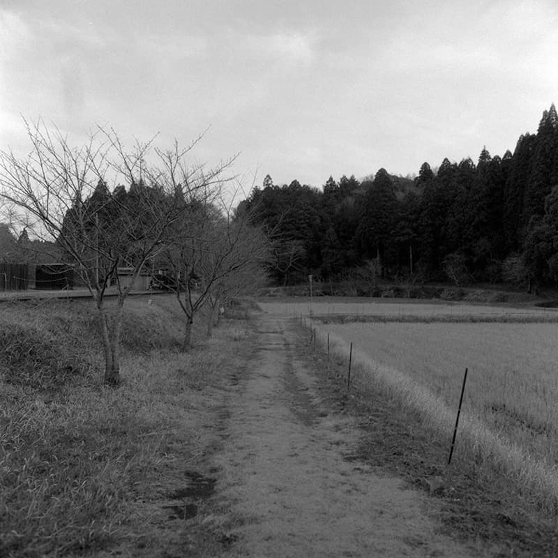 f:id:aremo-koremo:20190219163131j:plain f:id:aremo-koremo:20190219163131j:plain