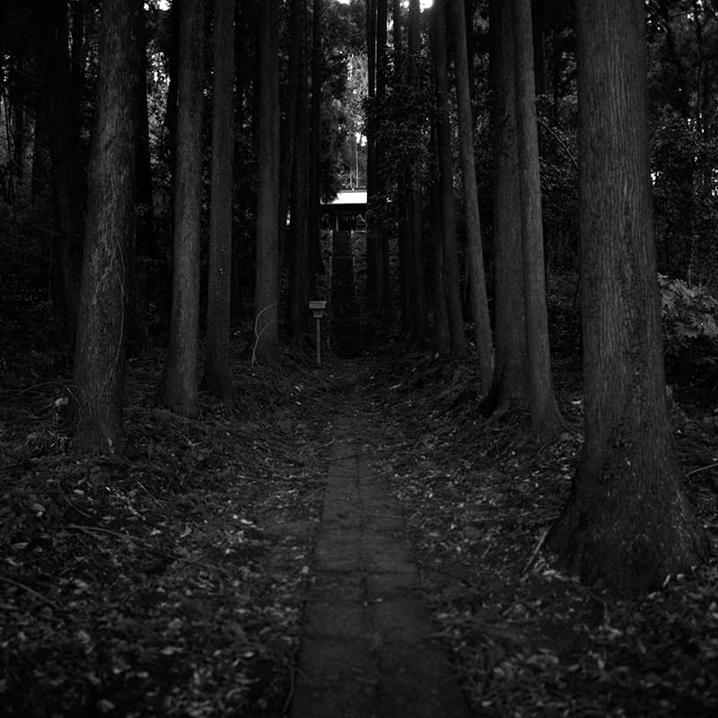 f:id:aremo-koremo:20190219163314j:plain f:id:aremo-koremo:20190219163314j:plain