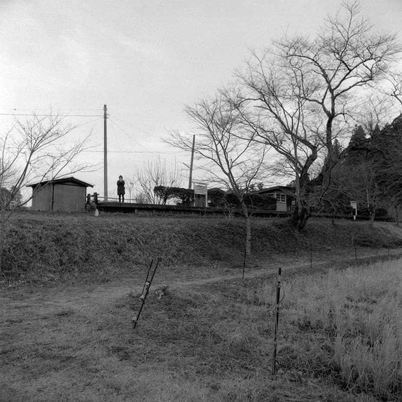 f:id:aremo-koremo:20190219163518j:plain f:id:aremo-koremo:20190219163518j:plain