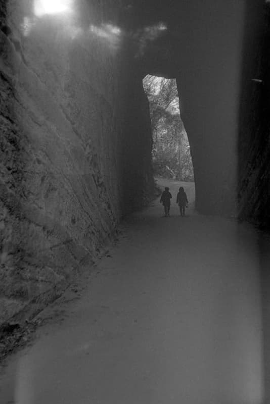 f:id:aremo-koremo:20190410162854j:plain f:id:aremo-koremo:20190410162854j:plain