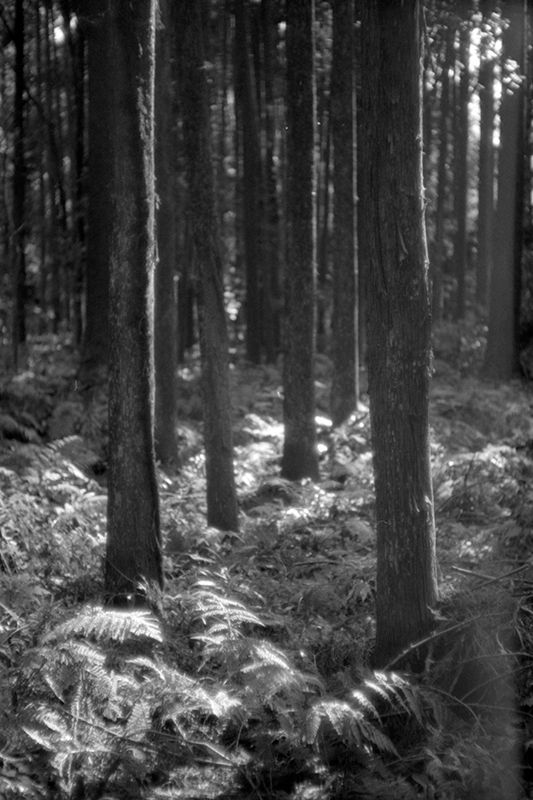 f:id:aremo-koremo:20190410164719j:plain f:id:aremo-koremo:20190410164719j:plain