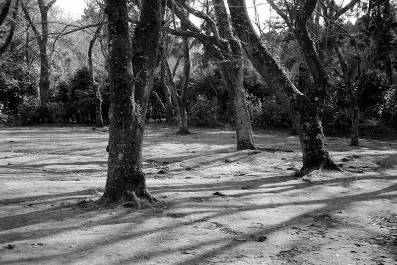 f:id:aremo-koremo:20190410165031j:plain f:id:aremo-koremo:20190410165031j:plain