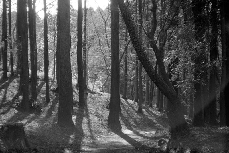 f:id:aremo-koremo:20190410192045j:plain f:id:aremo-koremo:20190410192045j:plain