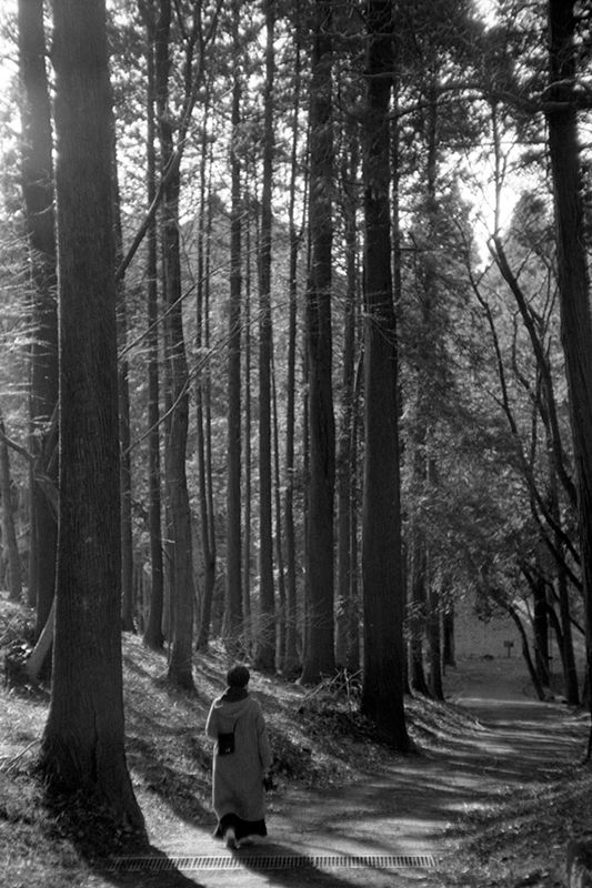 f:id:aremo-koremo:20190410192133j:plain f:id:aremo-koremo:20190410192133j:plain