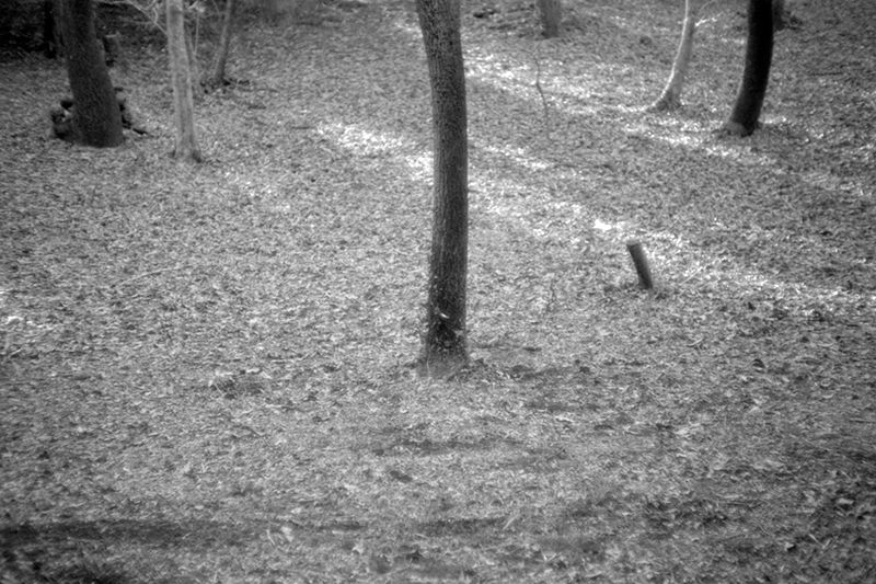 f:id:aremo-koremo:20190410192224j:plain f:id:aremo-koremo:20190410192224j:plain