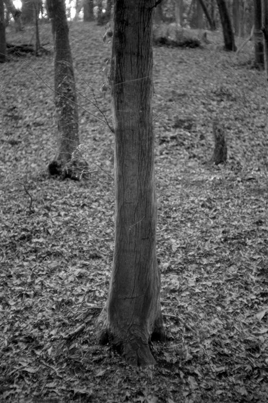 f:id:aremo-koremo:20190410192326j:plain f:id:aremo-koremo:20190410192326j:plain