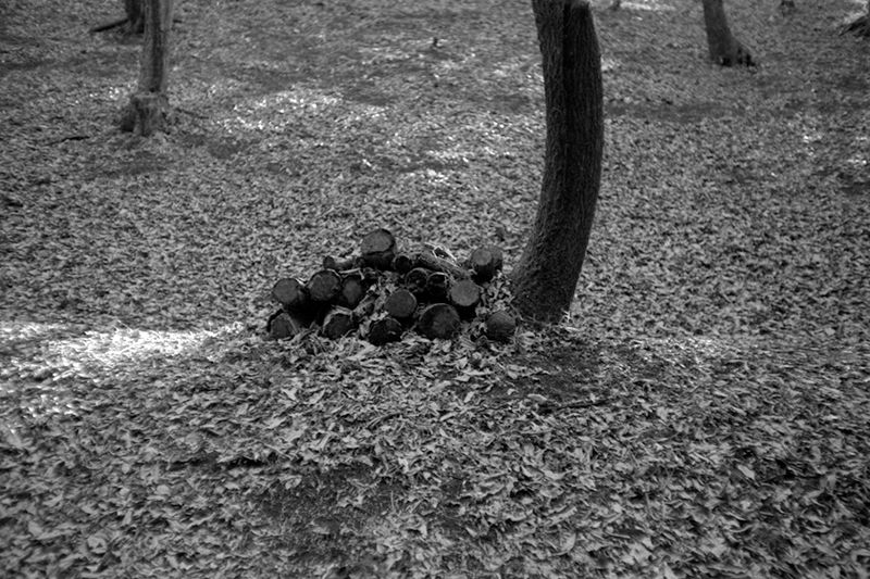 f:id:aremo-koremo:20190414015731j:plain f:id:aremo-koremo:20190414015731j:plain