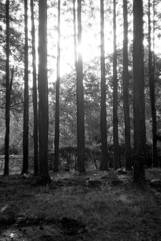 f:id:aremo-koremo:20190414015803j:plain f:id:aremo-koremo:20190414015803j:plain