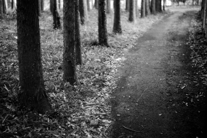 f:id:aremo-koremo:20190414015932j:plain f:id:aremo-koremo:20190414015932j:plain