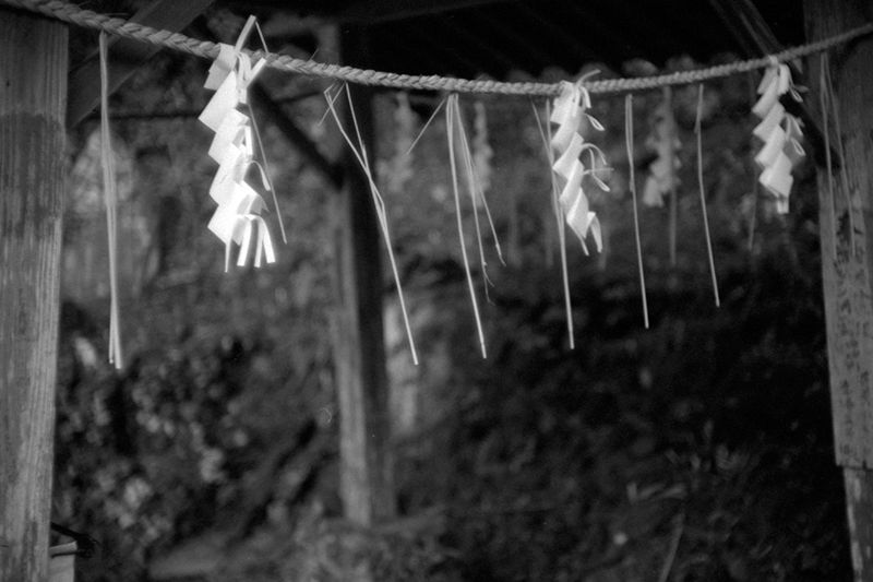 f:id:aremo-koremo:20190414021257j:plain f:id:aremo-koremo:20190414021257j:plain