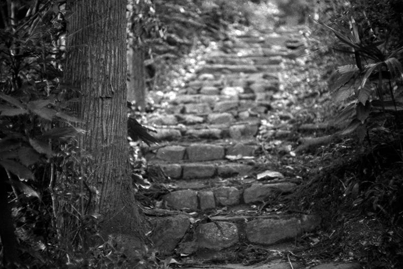 f:id:aremo-koremo:20190414021540j:plain f:id:aremo-koremo:20190414021540j:plain