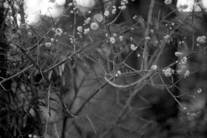 f:id:aremo-koremo:20190414021647j:plain f:id:aremo-koremo:20190414021647j:plain