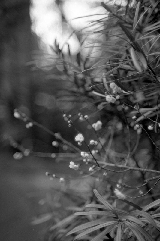 f:id:aremo-koremo:20190414021809j:plain f:id:aremo-koremo:20190414021809j:plain