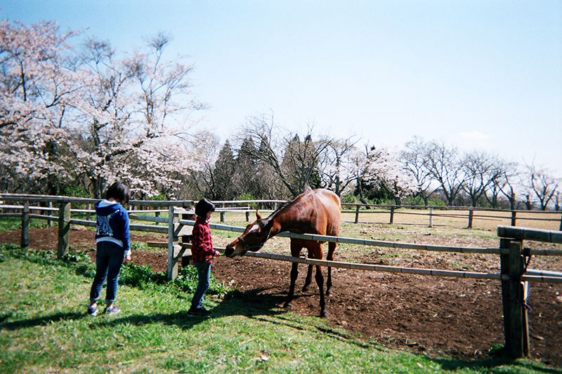 f:id:aremo-koremo:20190421171212j:plain f:id:aremo-koremo:20190421171212j:plain