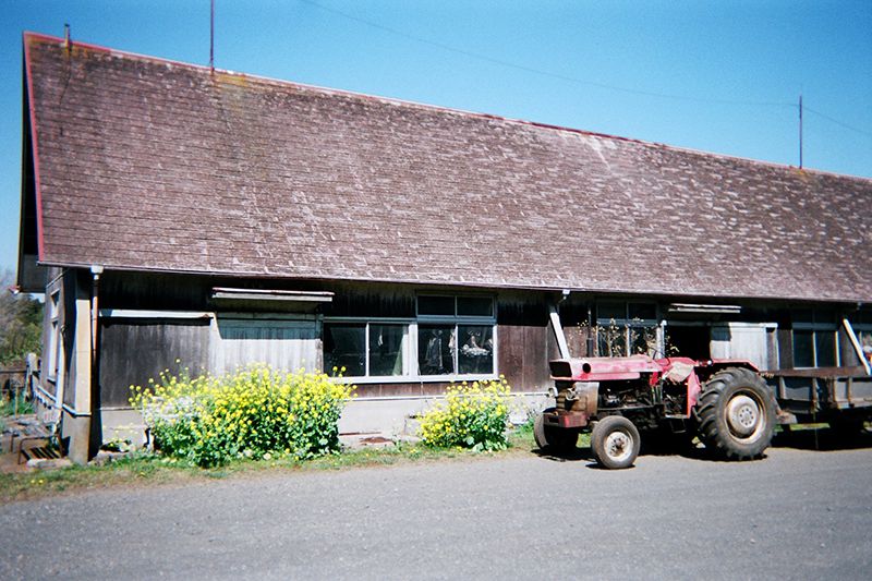 f:id:aremo-koremo:20190421171411j:plain f:id:aremo-koremo:20190421171411j:plain