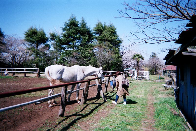 f:id:aremo-koremo:20190421171517j:plain f:id:aremo-koremo:20190421171517j:plain