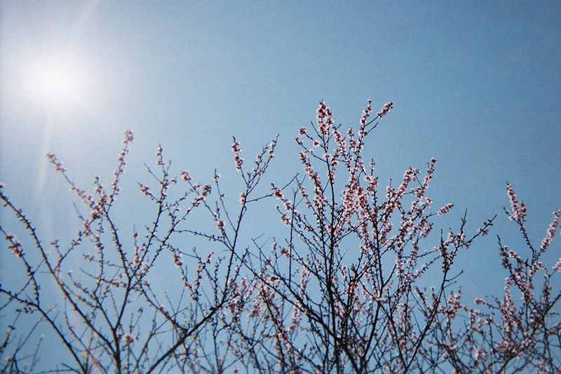 f:id:aremo-koremo:20190421172705j:plain f:id:aremo-koremo:20190421172705j:plain