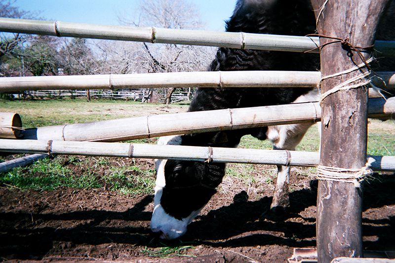 f:id:aremo-koremo:20190421173112j:plain f:id:aremo-koremo:20190421173112j:plain