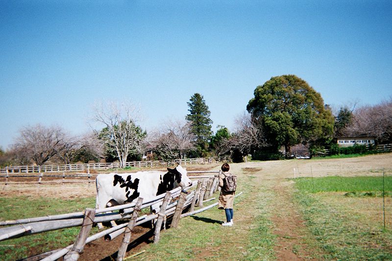 f:id:aremo-koremo:20190421173311j:plain f:id:aremo-koremo:20190421173311j:plain