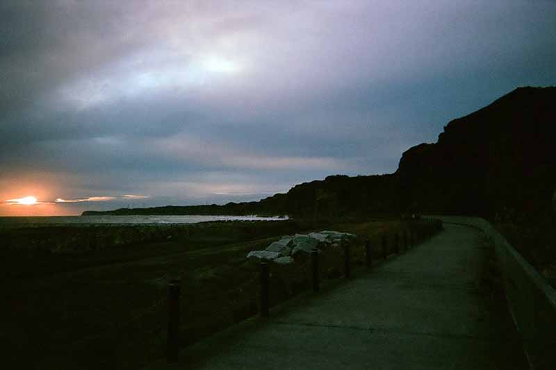 f:id:aremo-koremo:20200306104358j:plain f:id:aremo-koremo:20200306104358j:plain