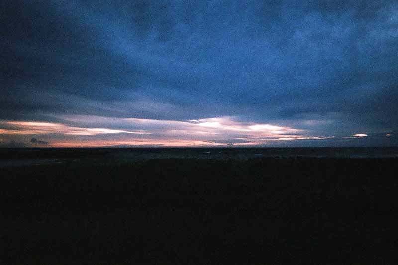 f:id:aremo-koremo:20200306104725j:plain f:id:aremo-koremo:20200306104725j:plain