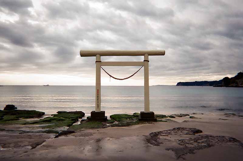 f:id:aremo-koremo:20200306105251j:plain f:id:aremo-koremo:20200306105251j:plain