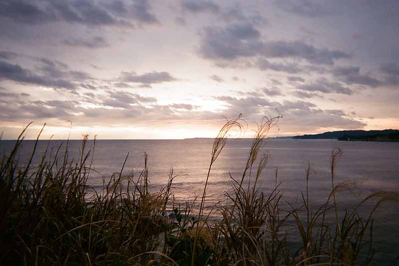 f:id:aremo-koremo:20200306105635j:plain f:id:aremo-koremo:20200306105635j:plain