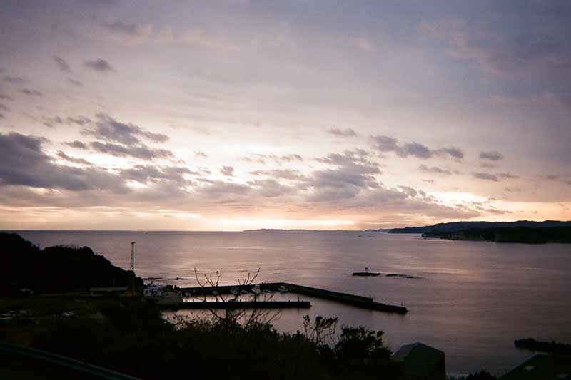 f:id:aremo-koremo:20200306105701j:plain f:id:aremo-koremo:20200306105701j:plain