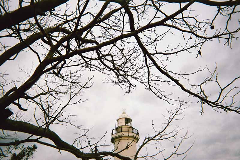 f:id:aremo-koremo:20200306110135j:plain f:id:aremo-koremo:20200306110135j:plain