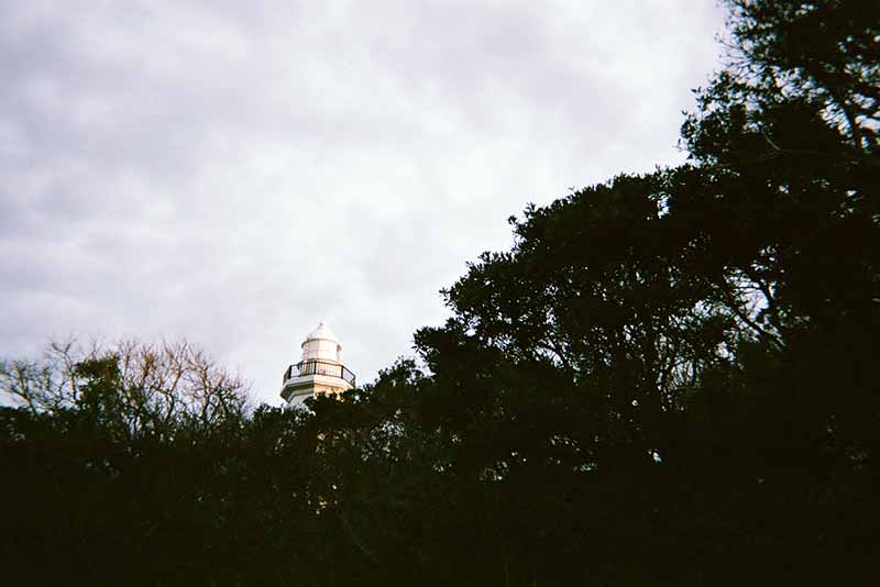 f:id:aremo-koremo:20200306110215j:plain f:id:aremo-koremo:20200306110215j:plain