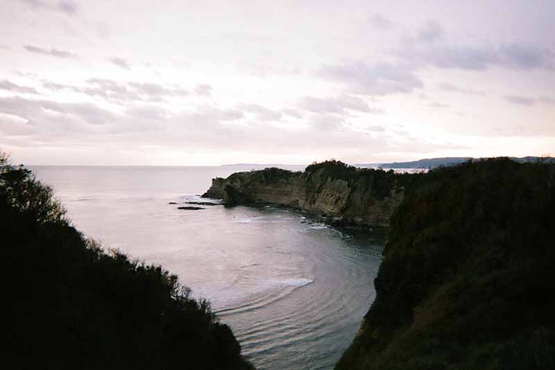 f:id:aremo-koremo:20200306110300j:plain f:id:aremo-koremo:20200306110300j:plain