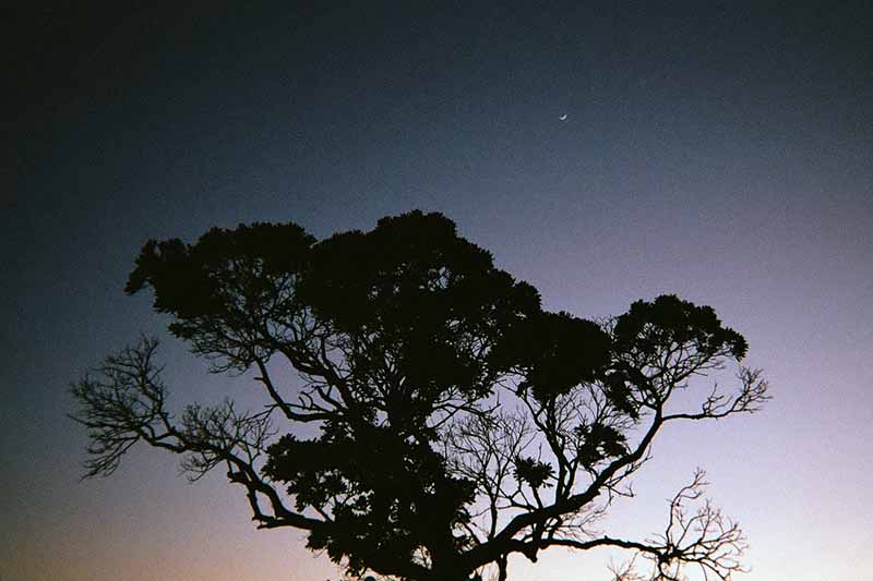 f:id:aremo-koremo:20200306111526j:plain f:id:aremo-koremo:20200306111526j:plain