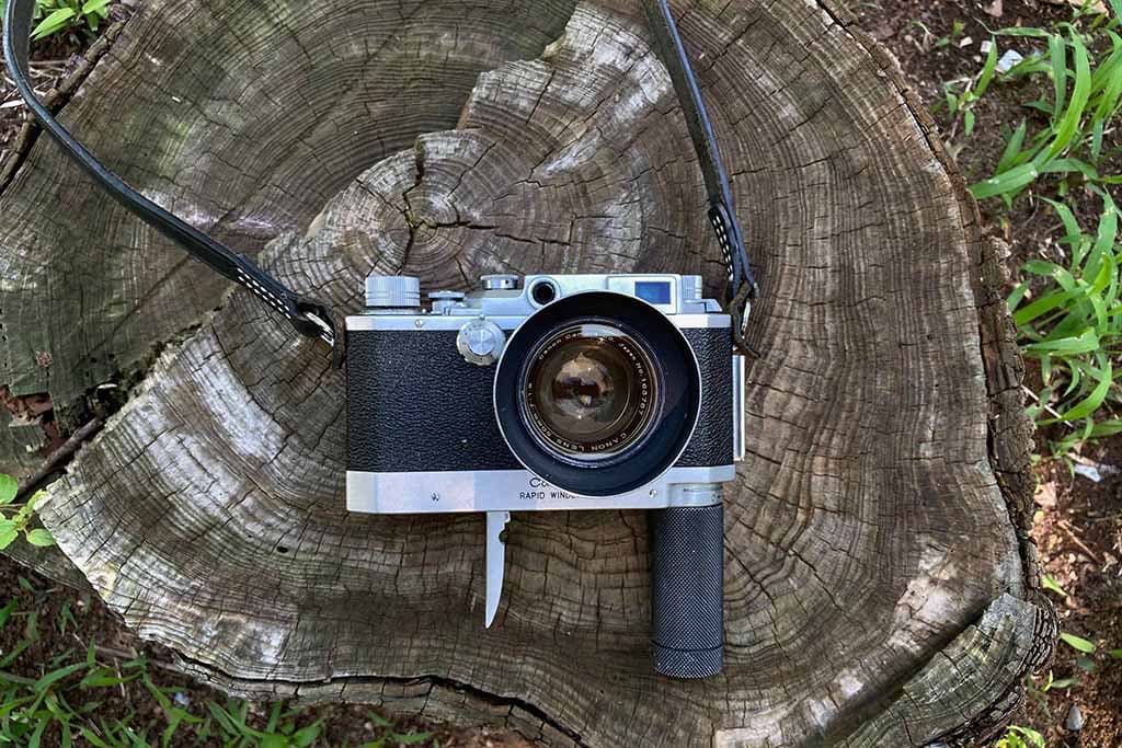 f:id:aremo-koremo:20200719025146j:plain f:id:aremo-koremo:20200719025146j:plain