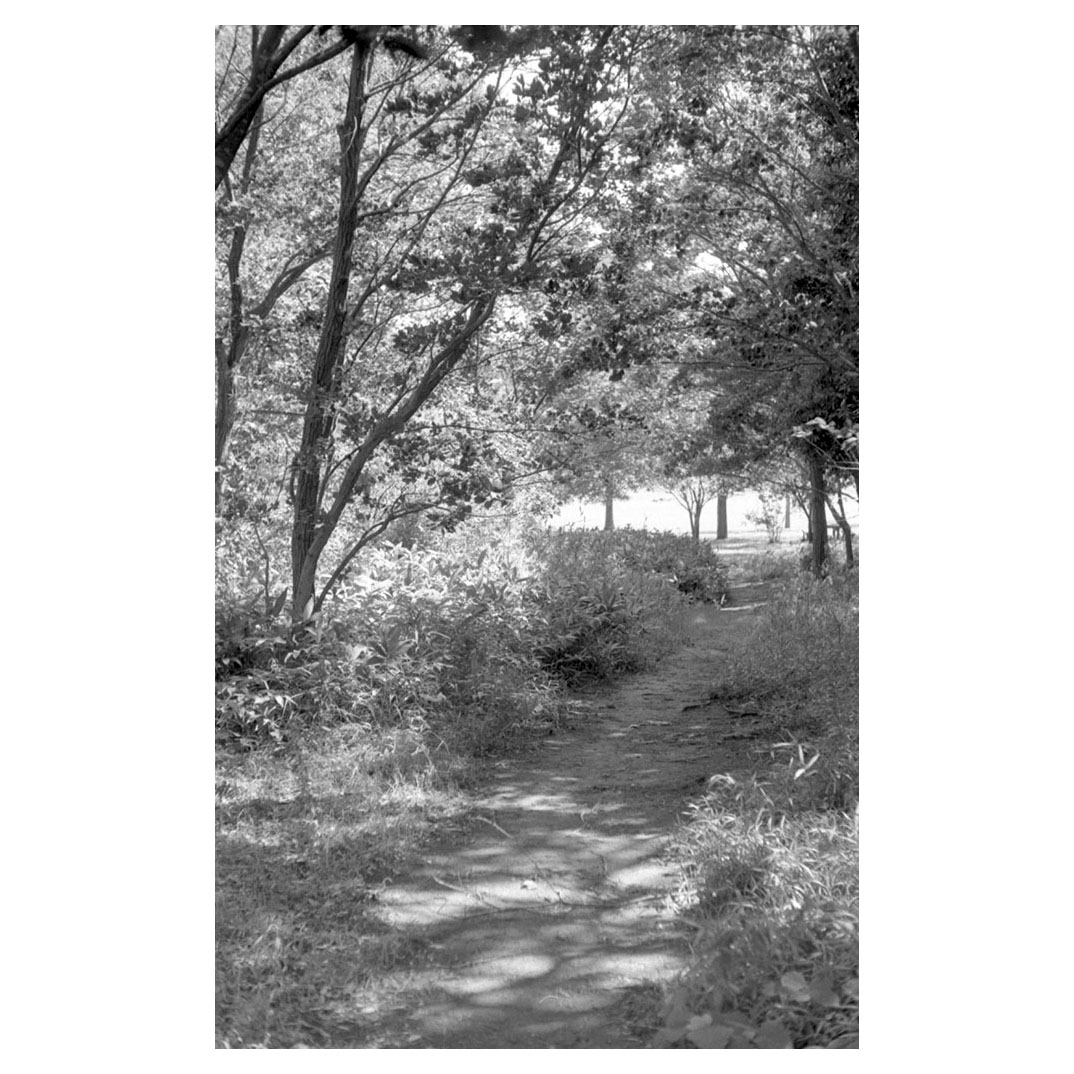 f:id:aremo-koremo:20200719031533j:plain f:id:aremo-koremo:20200719031533j:plain