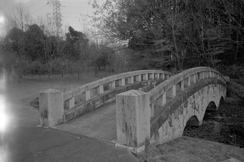 f:id:aremo-koremo:20200719172440j:plain f:id:aremo-koremo:20200719172440j:plain