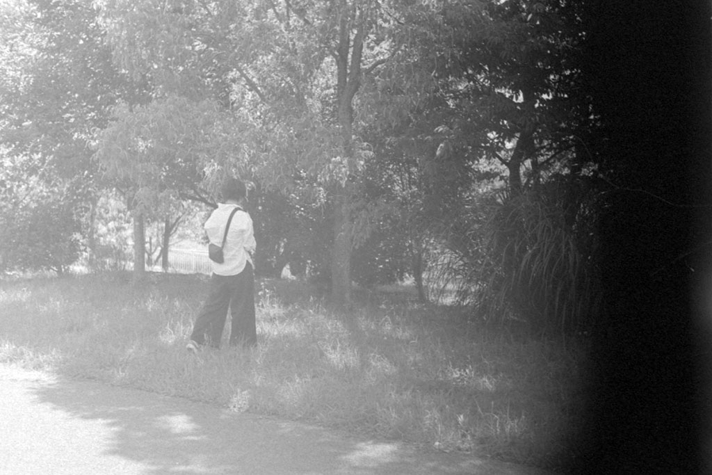 f:id:aremo-koremo:20200720023115j:plain f:id:aremo-koremo:20200720023115j:plain