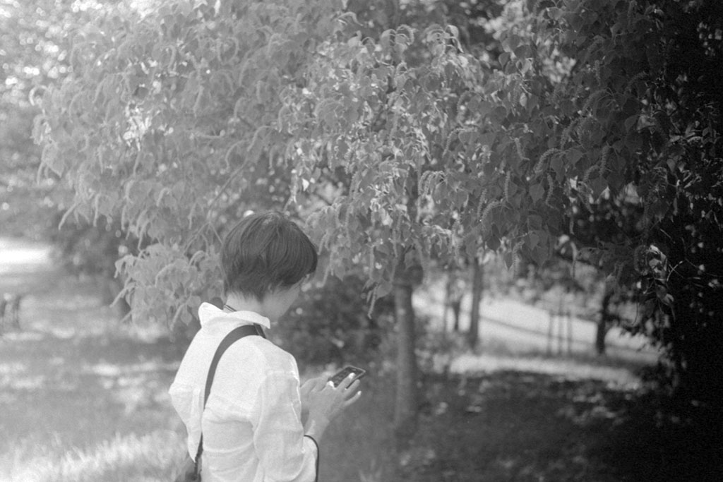 f:id:aremo-koremo:20200720023526j:plain f:id:aremo-koremo:20200720023526j:plain