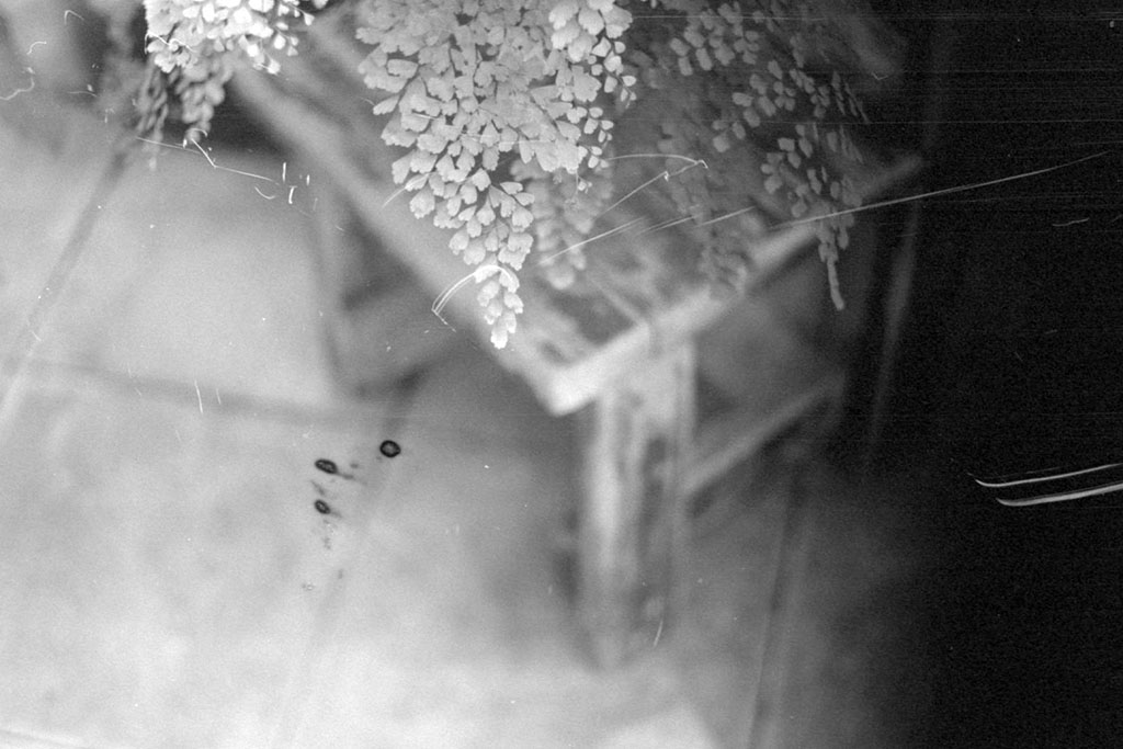 f:id:aremo-koremo:20200720023801j:plain f:id:aremo-koremo:20200720023801j:plain