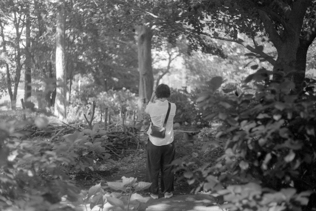 f:id:aremo-koremo:20200720024115j:plain f:id:aremo-koremo:20200720024115j:plain