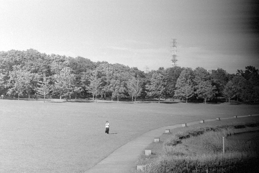 f:id:aremo-koremo:20200720024620j:plain f:id:aremo-koremo:20200720024620j:plain