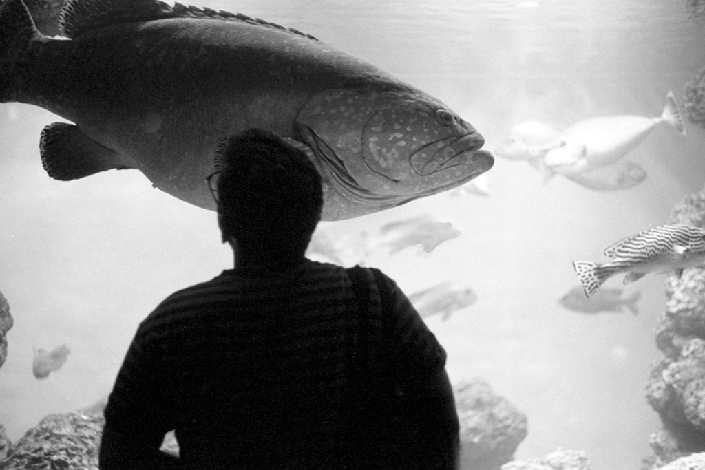 f:id:aremo-koremo:20200918152544j:plain f:id:aremo-koremo:20200918152544j:plain