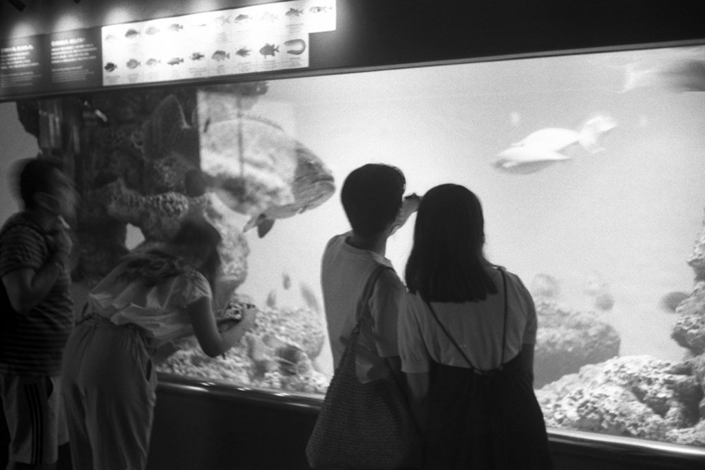 f:id:aremo-koremo:20200918154406j:plain f:id:aremo-koremo:20200918154406j:plain