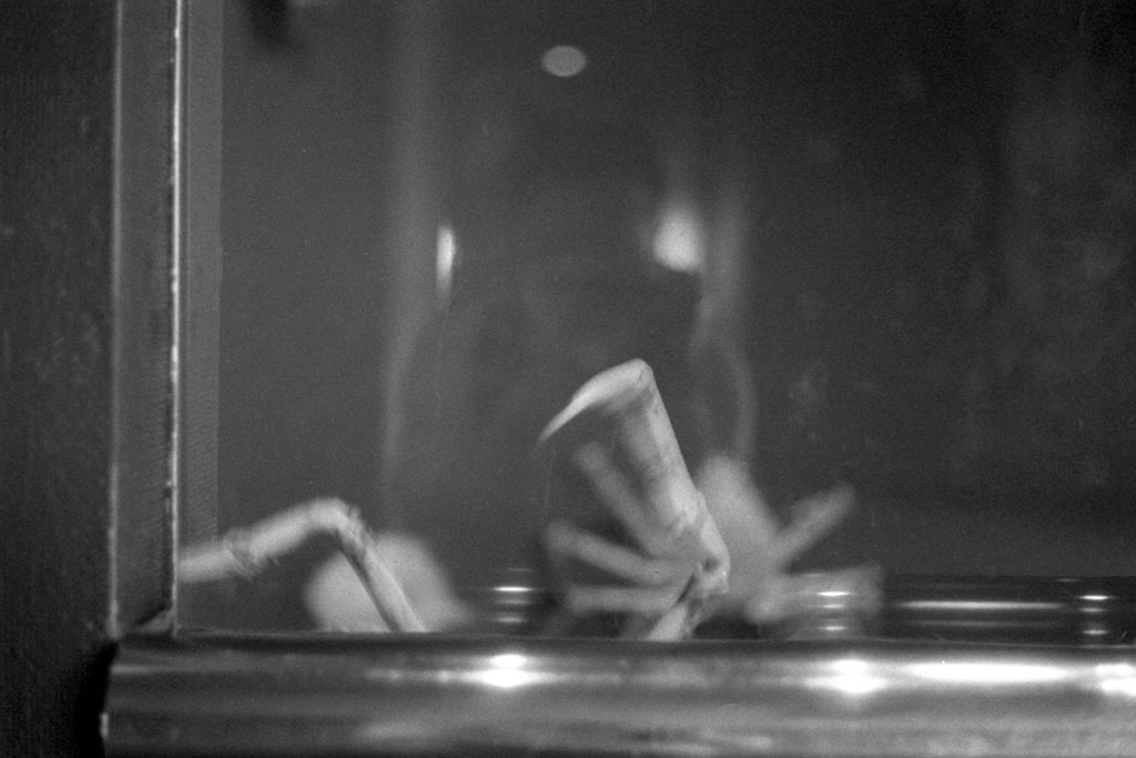 f:id:aremo-koremo:20200918154732j:plain f:id:aremo-koremo:20200918154732j:plain