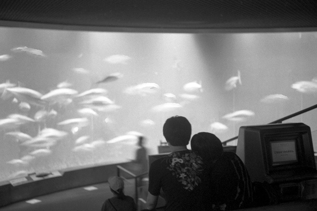 f:id:aremo-koremo:20200918154927j:plain f:id:aremo-koremo:20200918154927j:plain