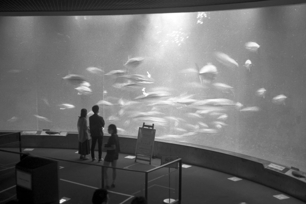 f:id:aremo-koremo:20200918155127j:plain f:id:aremo-koremo:20200918155127j:plain